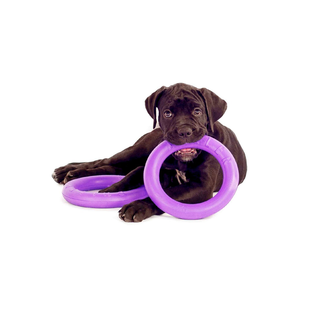 2 AROS DE ENTRENAMIENTO Puller MINI de 18 cm de diámetro - Pet Fashion