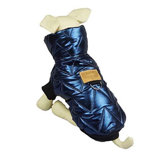 Abrigo Impermeable Azul - Pet Fashion