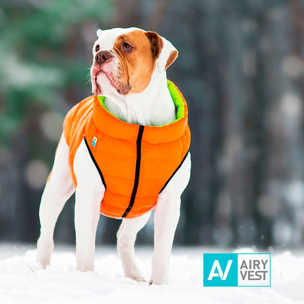 Airy Vest Casaca Reversible Naranja / Verde - Pet Fashion