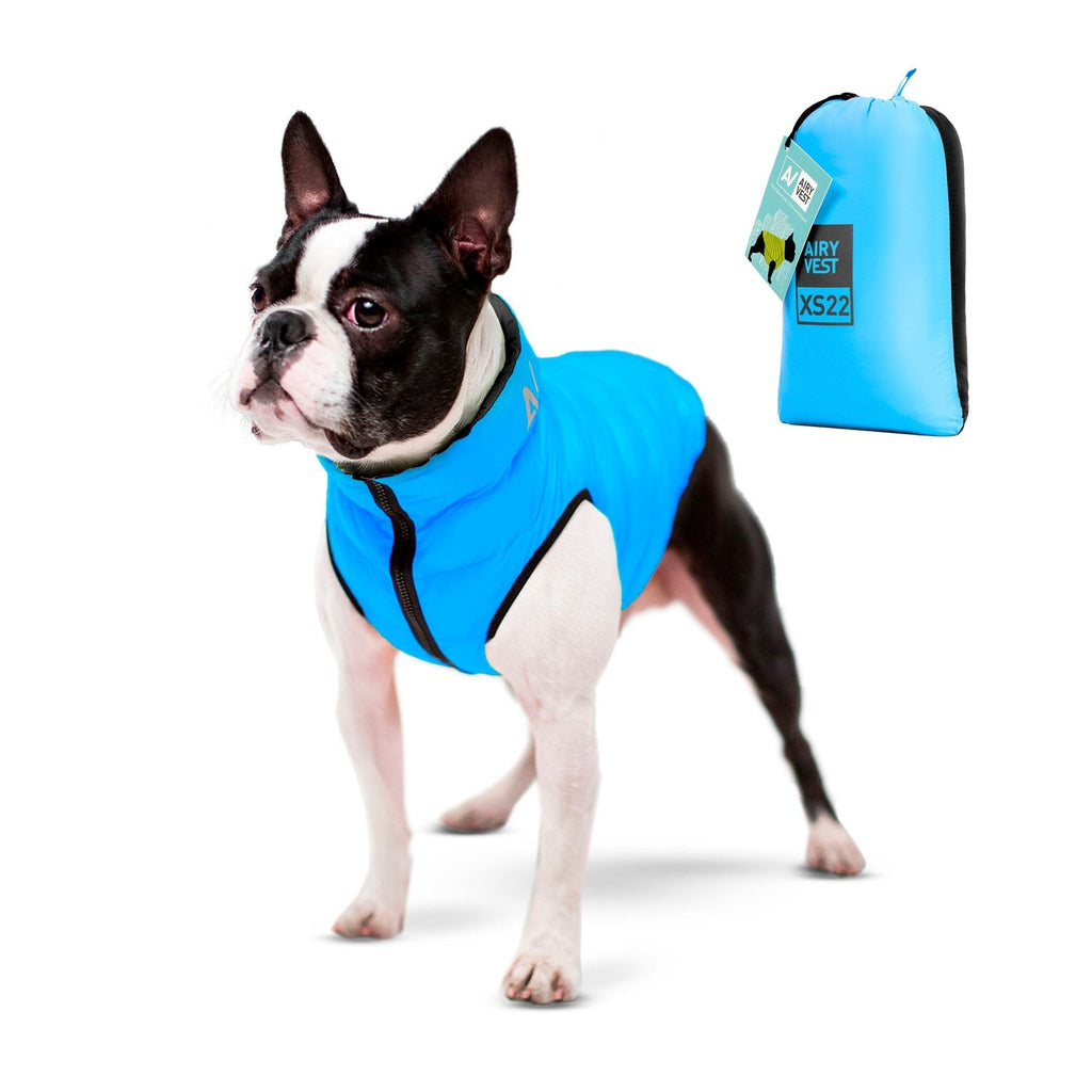 Airy Vest Casaca Reversible Negra / Celeste - Pet Fashion