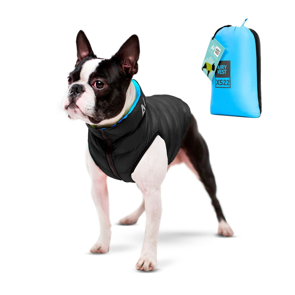 Airy Vest Casaca Reversible Negra / Celeste - Pet Fashion