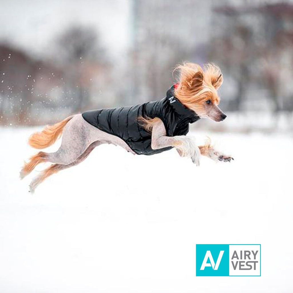 Airy Vest Casaca Reversible Negro / Rojo - Pet Fashion