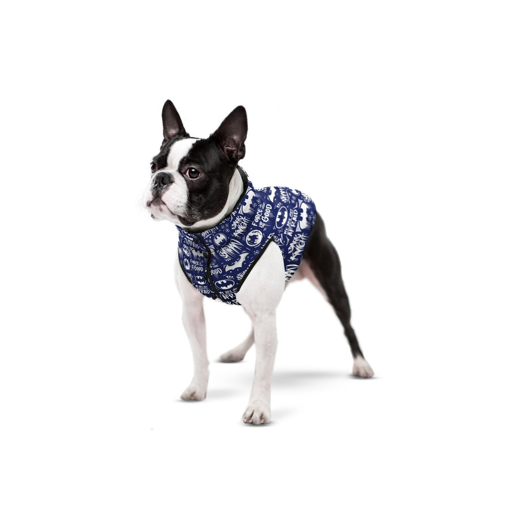 Batman Blue White DC Comics Abrigo - Pet Brands