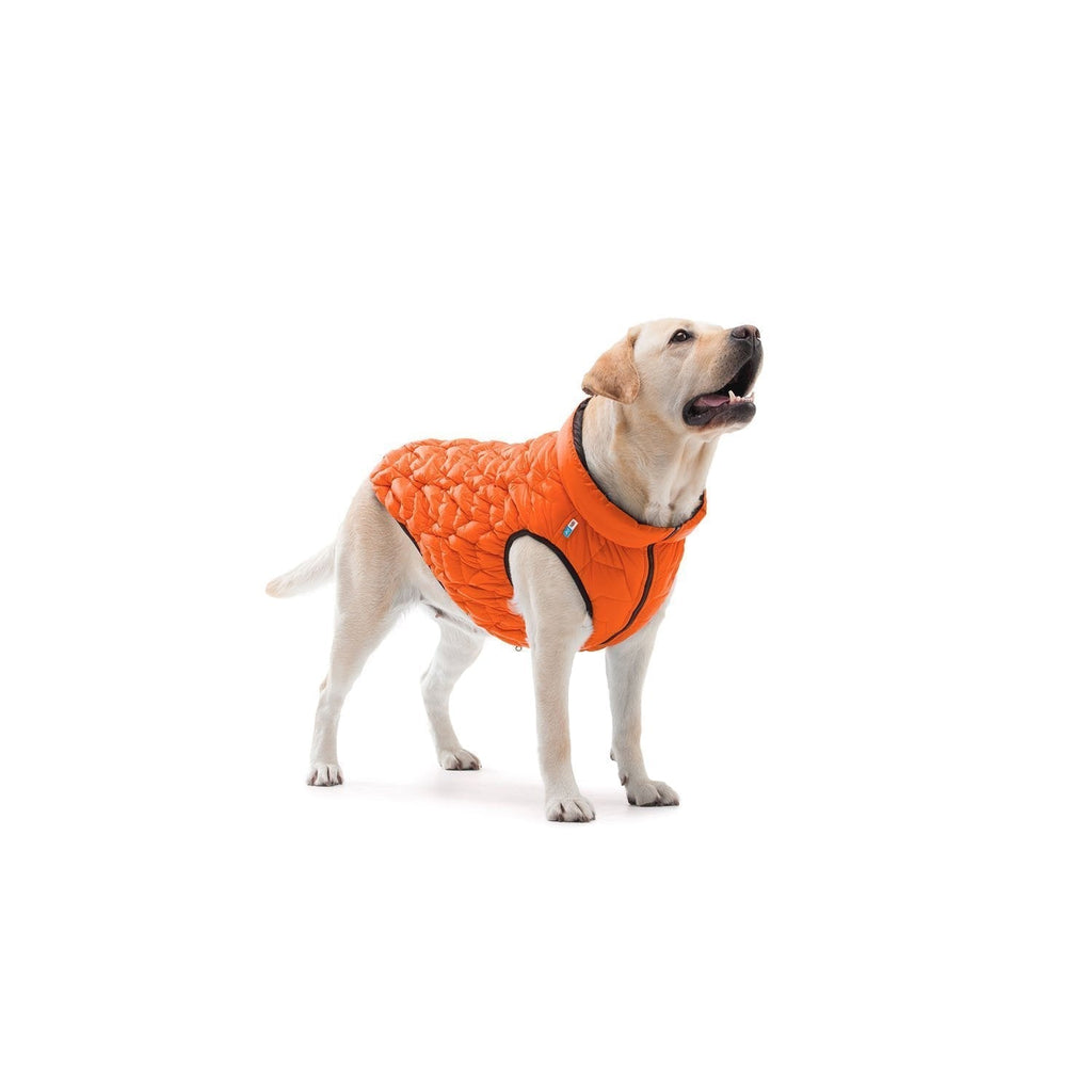 Casaca AiryVest UNI REVERSIBLE - Naranja / Negro - Pet Brands