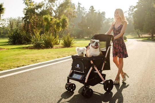 Coche para Mascotas hpztm pet rover xl extra-long premium stroller for small/medium/large dogs, cats and pets (Black) - Pet Fashion