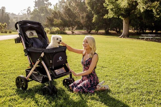 Coche para Mascotas hpztm pet rover xl extra-long premium stroller for small/medium/large dogs, cats and pets (Black) - Pet Fashion