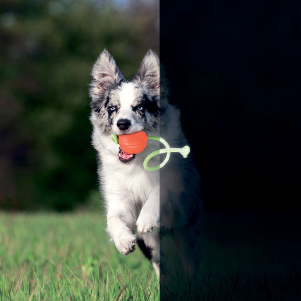 Liker lumi 7 pelota que brilla en la oscuridad para razas grandes, medianas y pequeñas - Pet Brands