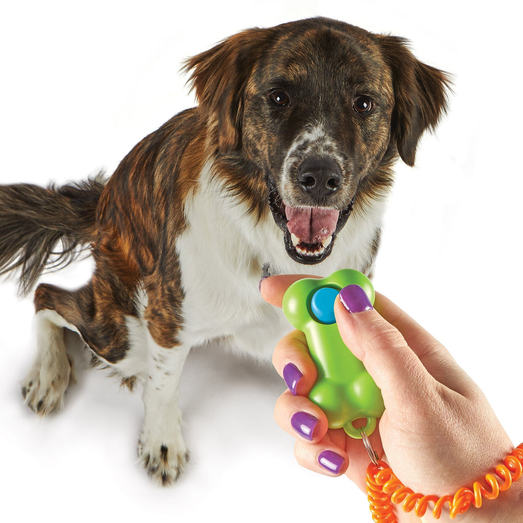 Smarty Pooch Training Clicker- BONE juguete de entrenamiento para perro - Pet Fashion