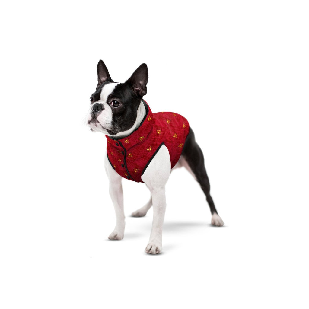 Superman Red DC Comics Abrigo - Pet Brands